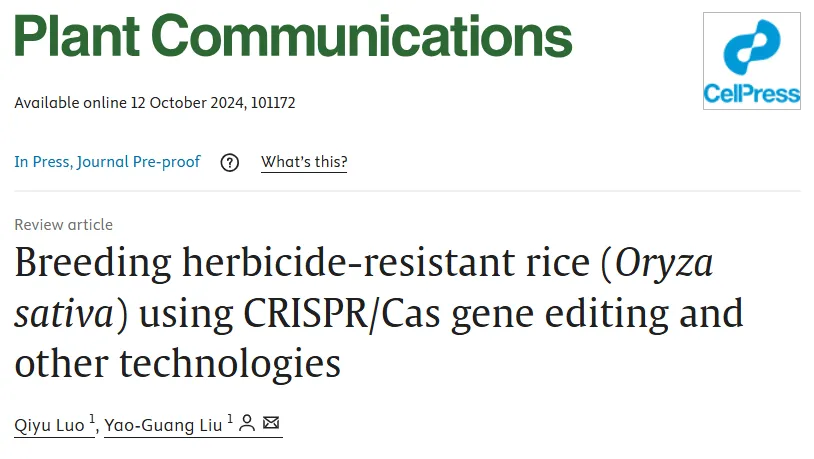 Plant Com | 劉耀光院士團(tuán)隊(duì)綜述CRISPR/Cas基因編輯等技術(shù)在抗除草劑水稻育種研究中的進(jìn)展及展望